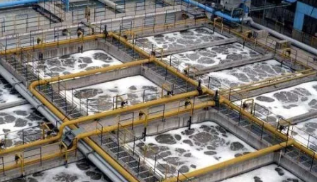 jk黑色丝袜美女被网站