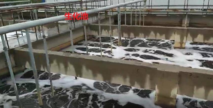 jk黑色丝袜美女被网站