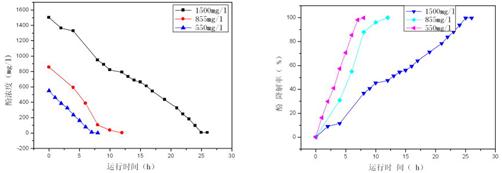 jk黑色丝袜美女被网站
