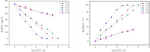 jk黑色丝袜美女被网站