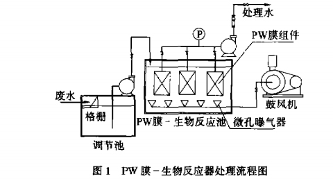 jk黑色丝袜美女被网站