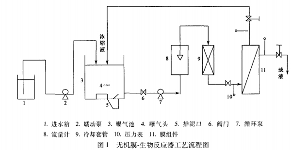 jk黑色丝袜美女被网站