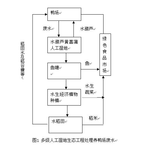 jk黑色丝袜美女被网站