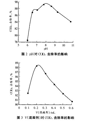 jk黑色丝袜美女被网站