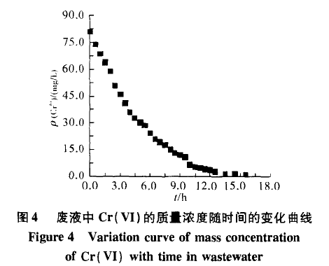 jk黑色丝袜美女被网站
