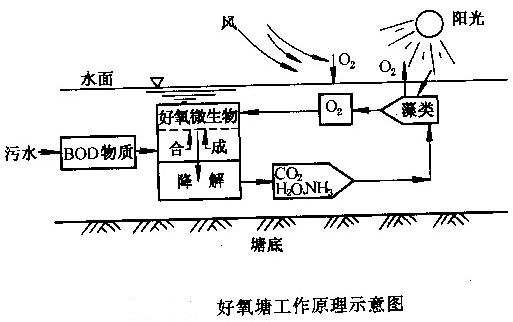 jk黑色丝袜美女被网站