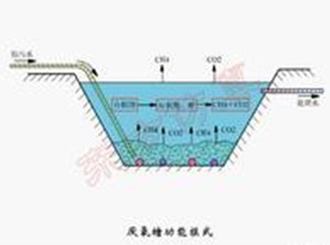 jk黑色丝袜美女被网站