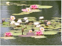 jk黑色丝袜美女被网站