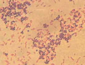 jk黑色丝袜美女被网站