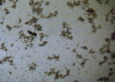 jk黑色丝袜美女被网站