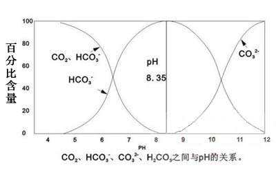 jk黑色丝袜美女被网站