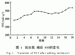jk黑色丝袜美女被网站