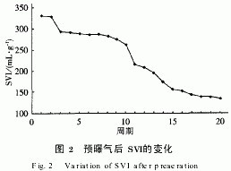 jk黑色丝袜美女被网站