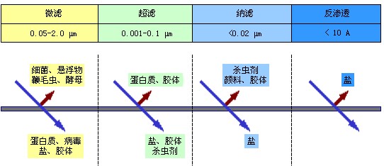 jk黑色丝袜美女被网站