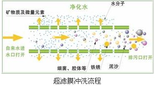 jk黑色丝袜美女被网站