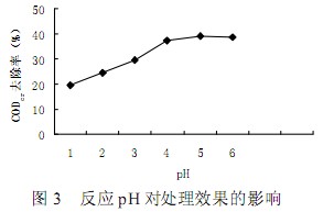 jk黑色丝袜美女被网站