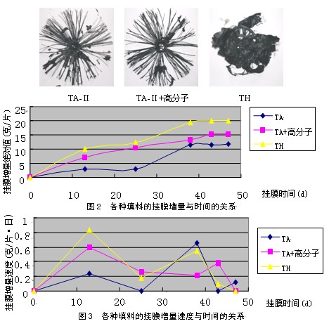 jk黑色丝袜美女被网站
