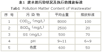 jk黑色丝袜美女被网站