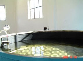 jk黑色丝袜美女被网站