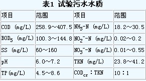 jk黑色丝袜美女被网站