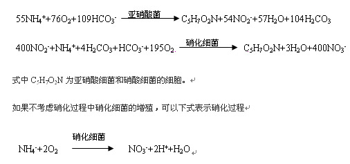 jk黑色丝袜美女被网站