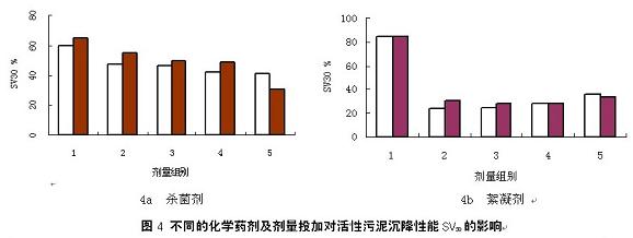 jk黑色丝袜美女被网站