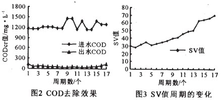 jk黑色丝袜美女被网站
