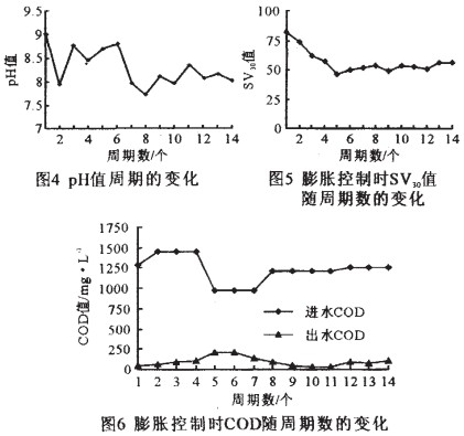 jk黑色丝袜美女被网站