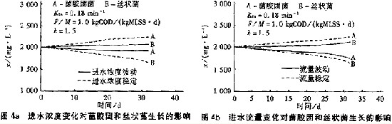 jk黑色丝袜美女被网站