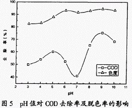 jk黑色丝袜美女被网站
