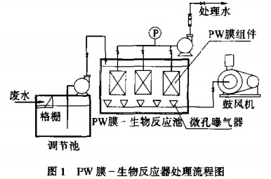 jk黑色丝袜美女被网站