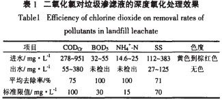 jk黑色丝袜美女被网站