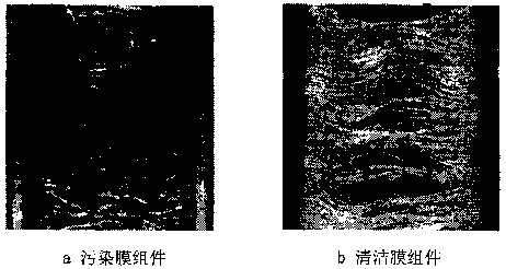 jk黑色丝袜美女被网站