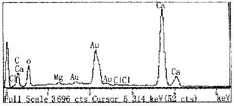 jk黑色丝袜美女被网站