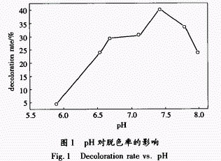jk黑色丝袜美女被网站
