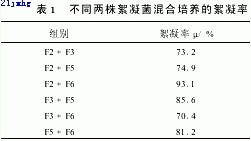 jk黑色丝袜美女被网站