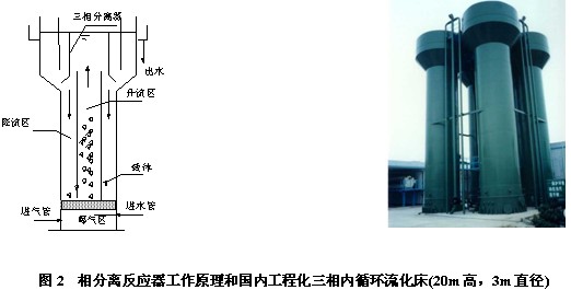 jk黑色丝袜美女被网站