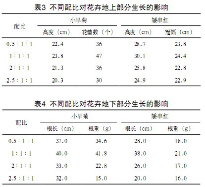 jk黑色丝袜美女被网站