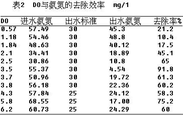 jk黑色丝袜美女被网站