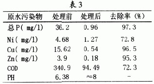 jk黑色丝袜美女被网站