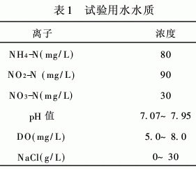 jk黑色丝袜美女被网站