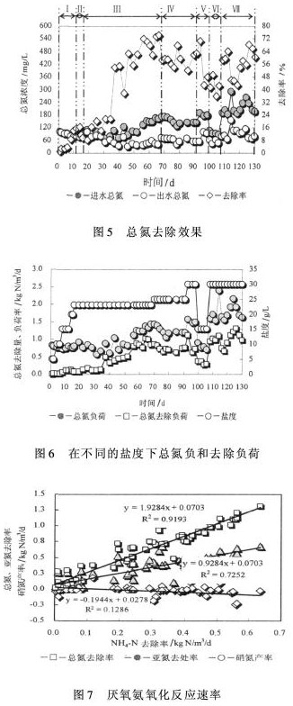 jk黑色丝袜美女被网站