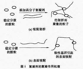 jk黑色丝袜美女被网站