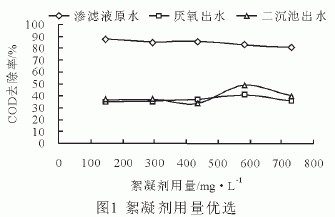 jk黑色丝袜美女被网站