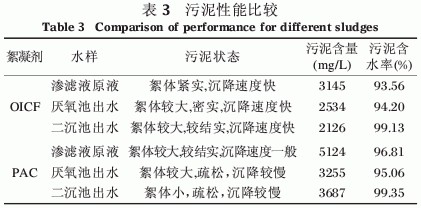 jk黑色丝袜美女被网站