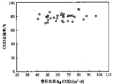jk黑色丝袜美女被网站
