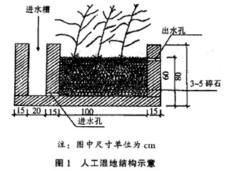 jk黑色丝袜美女被网站