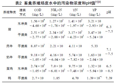 jk黑色丝袜美女被网站