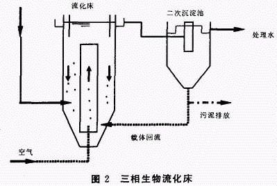 jk黑色丝袜美女被网站