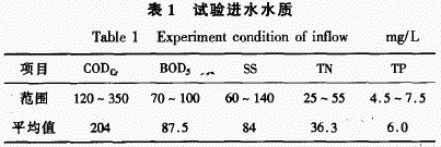 jk黑色丝袜美女被网站